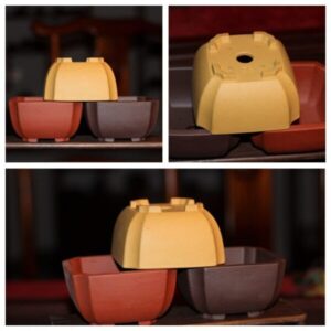 CHẬU TỬ SA HÌNH VUÔNG KHUYẾT