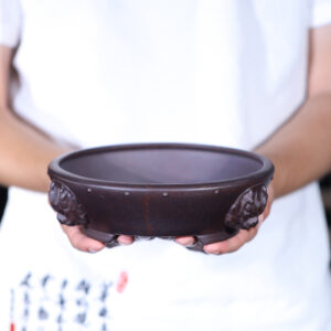 CHẬU TỬ SA BONSAI TRÒN LONG PHÙ CÓ ĐINH