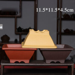 CHẬU TỬ SA HÌNH THANG VUÔNG