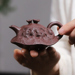 ẤM TỬ GIA NÊ LINH CHI