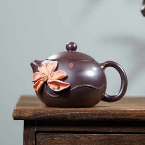 ẤM TỬ SA TÂY THI HỘI NÊ